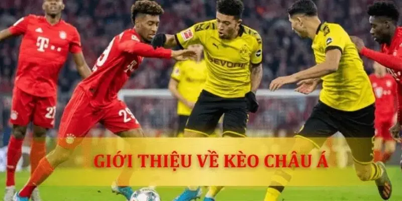 Khái quát về loại kèo châu Á